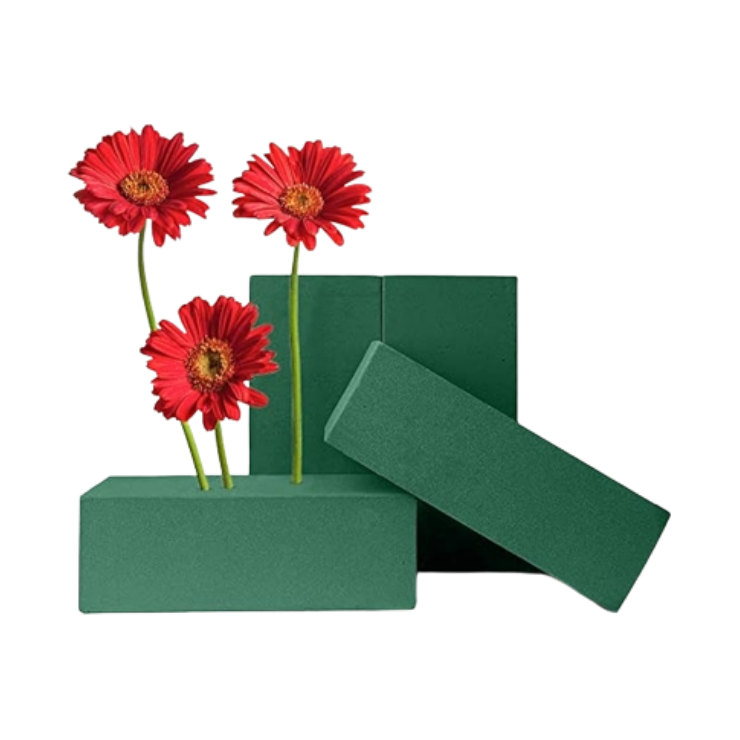 Oasis Floral Foam Green